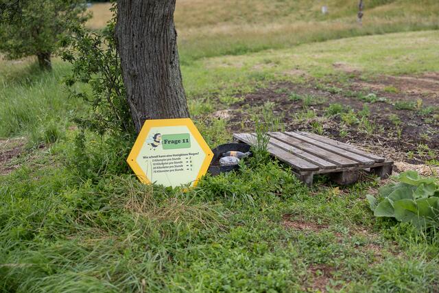 Foto: René Brunhölzl