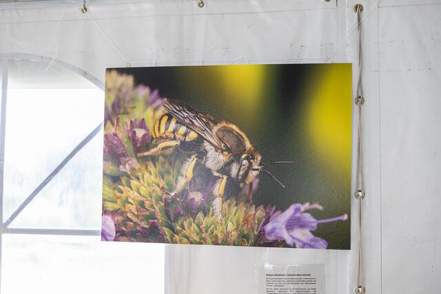 Foto: René Brunhölzl