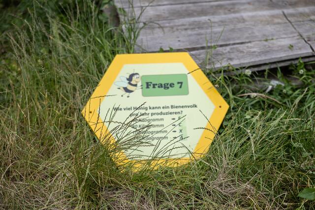 Foto: René Brunhölzl