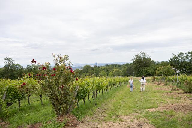 Foto: René Brunhölzl