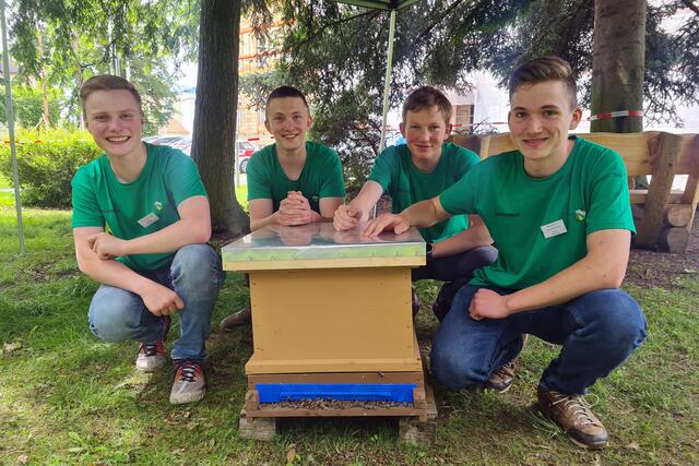 Die erfolgreichen vier Junkimker aus der LFS Tamsweg: Alexander Sigl, Kilian Steer, Florian Schlojer, Matthias Schaidreiter.  | Foto: LFS Tamsweg