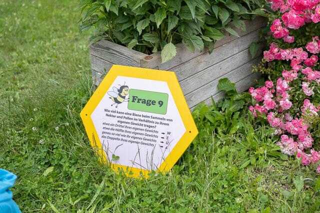 Foto: René Brunhölzl