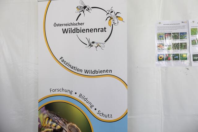 Foto: René Brunhölzl