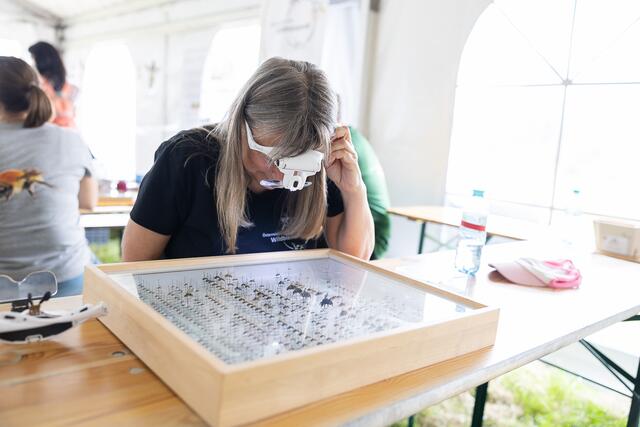 Foto: René Brunhölzl