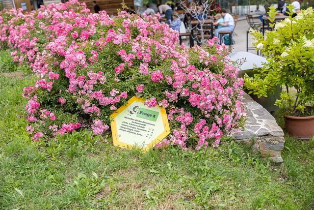 Foto: René Brunhölzl