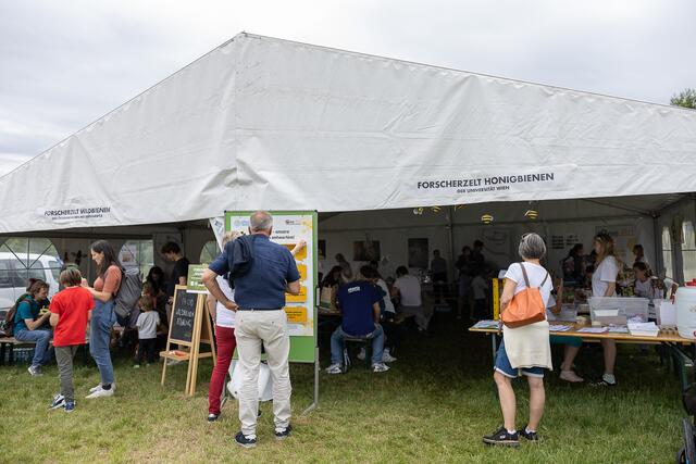 Foto: René Brunhölzl