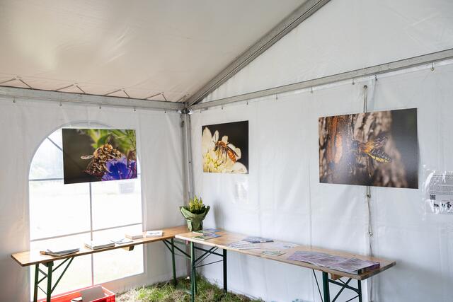 Foto: René Brunhölzl