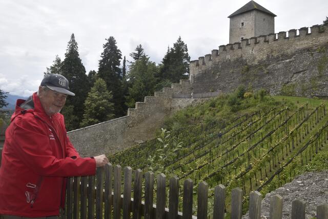 Hans-Georg Keplinger vor den Weinreben im Zwinger auf dem Mönchsberg | Foto: Thomas Fuchs