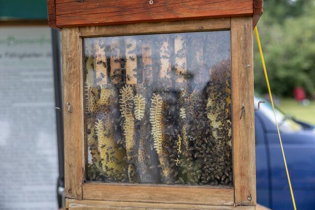 Foto: René Brunhölzl