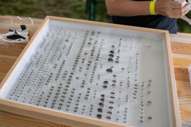 Foto: René Brunhölzl