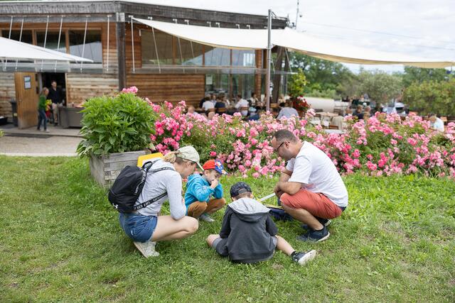 In Döbling gingen Jung und Alt den Bienen auf die Spur.  | Foto: René Brunhölzl