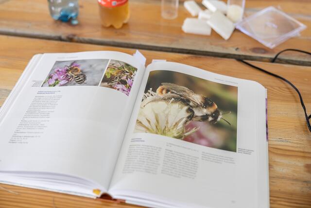 Foto: René Brunhölzl