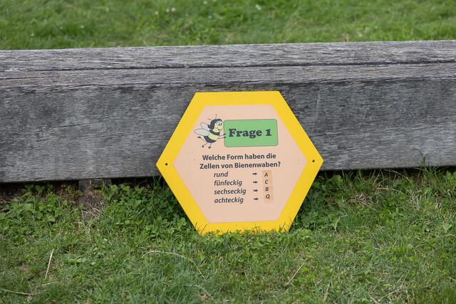 Foto: René Brunhölzl