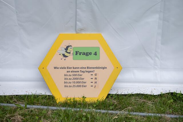 Foto: René Brunhölzl