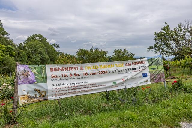 Foto: René Brunhölzl