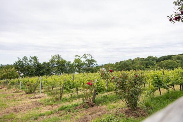 Foto: René Brunhölzl