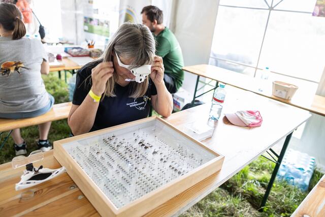 Foto: René Brunhölzl