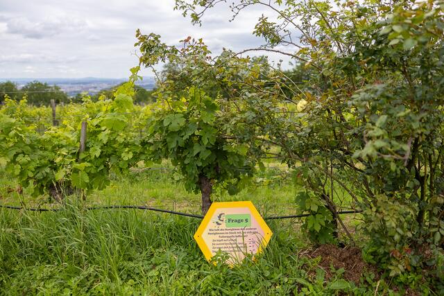 Foto: René Brunhölzl