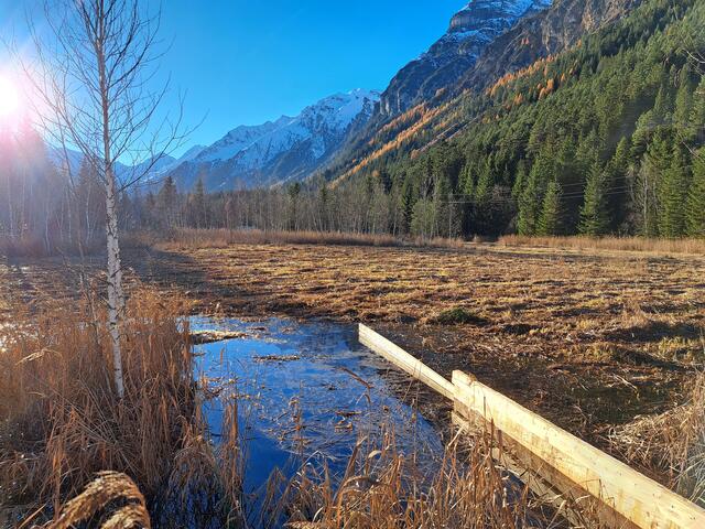 Eine Aufnahme der eingesetzten Spundwand aus dem Herbst 2023. | Foto: Land Tirol