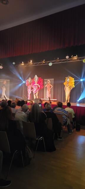 Mit der fulminanten Show "C'est formidable - Es ist wunderbar" wurde das Publikum begeistert. | Foto: Bauermühle Mattersburg