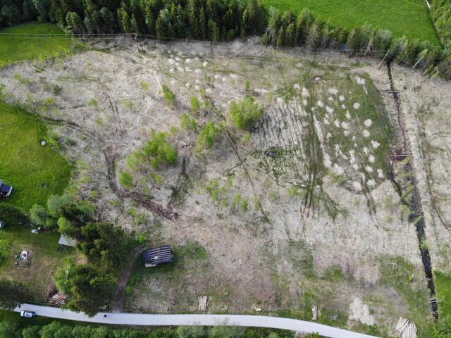 Auf der Luftaufnahme vom Mai diesen Jahres gut erkennbar: Rechts im Bild die zwei Spundwände, die den Entwässerungsgraben schließen und somit wieder für ausreichend Nässe im Moor sorgen. | Foto: Land Tirol