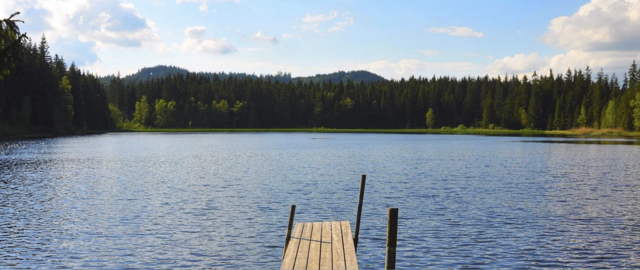 Der Stierhüblteich liegt idyllisch mitten im Wald. | Foto: Verein Naturpark Nordwald