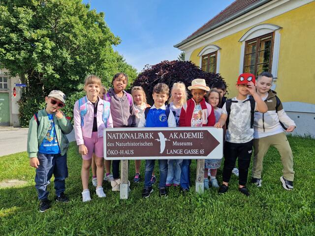 Vorschulkinder des Bildungscampus+ Lex Nalis haben kürzlich bei einem Kreativwettbewerb einen Sonderpreis gewonnen.  | Foto: Saheema Baig