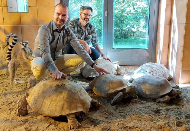 Immer wieder findet man Goldfische und Schildkröten, die in Wels ausgesetzt werden. Das sei nicht nur illegal, sondern könne auch fatale Folgen für das heimische Ökosystem haben. | Foto: Rammerstorfer
