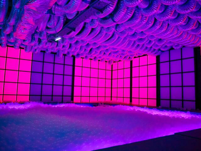 Ausstellung "Purple Metal" | Foto: Anna Rauchecker