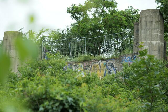 Bei der Wiener Landtagssitzung am Mittwoch unterstrich die Stadtregierung erneut ihre Vorreiterposition in Sachen Renaturierung. (Archiv) | Foto: RMW/Max Spitzauer