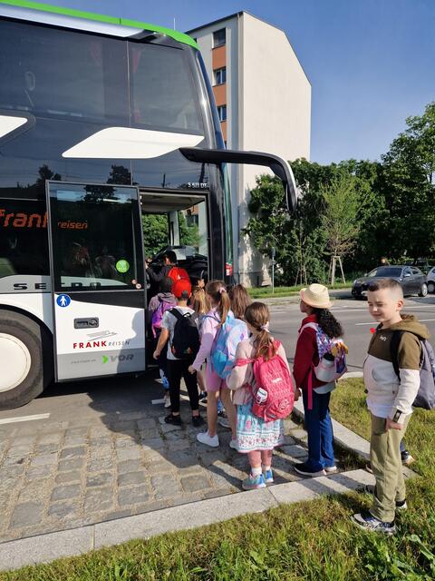 Die Kinder haben eine Exkursion in den Nationalpark Donauauen nach Petronell gewonnen. Den Ausflug durften sie bereits antreten.  | Foto: Saheema Baig