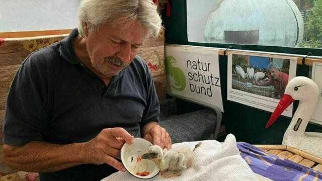 Helmut Rosenthaler und der Storchenverein laden zum Tag der offenen Tür in Tillmitsch ein. | Foto: Storchenstation Tillmitsch