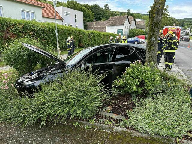 Nachdem das Fahrzeug in eine Laterne krachte, fuhr es weiter gegen einen Baum, wo es zum Stillstand kam. | Foto: FF Forchtenau