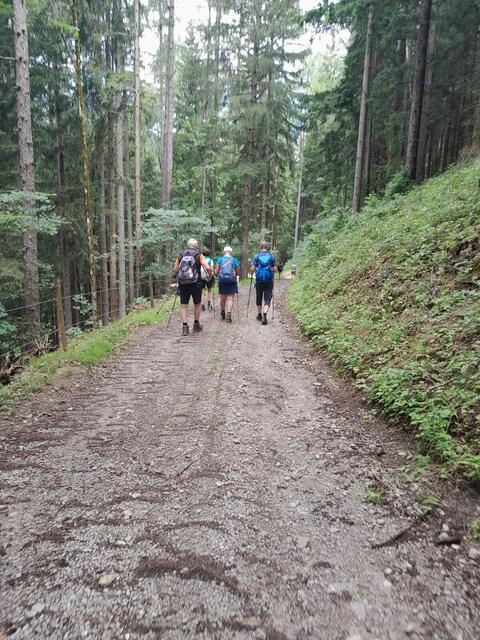 Veranstaltung zum Thema „Wald und Jagd im Klimawandel“ für eine Seniorengruppe aus Rabenstein in Schwarzenbach.  | Foto: Klar!