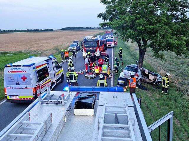 Bei einem Verkehrsunfall am Donnerstagabend verunglückte ein 26-jähriger Fahrzeuglenker an der Unfallstelle.  | Foto: FF Nickelsdorf und FF Zurndorf