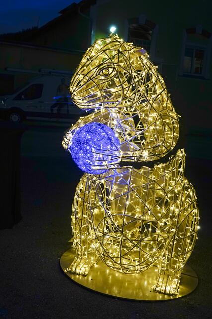 Foto: Walter Schindler