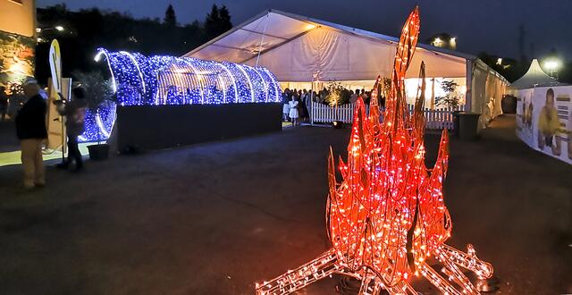 Foto: Walter Schindler