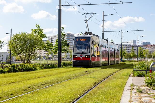In der Sitzung der Bezirksvertretung wurden verschiedene Neuerungen diskutiert. Etwa wünschen die Grünen Rasengleise, wie es sie auf der Linie D oder O gibt. | Foto: Manfred Helmer/Wiener Linien