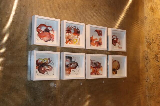 Foto: Elisabeth Zangerl