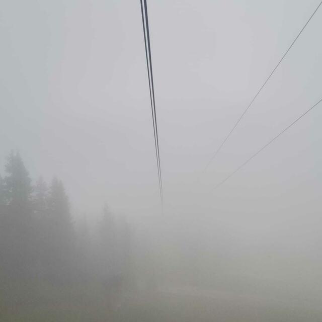 Nebelige Sichtverhältnisse 