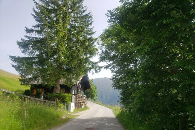 Von Dorfgastein aus geht`s zur Steiner Alm.
