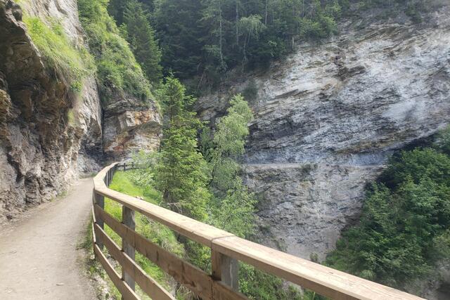 
Ein schöner Höhenweg
Von Bad Hofgastein nach Bad Gastein.
Zurück gings mit dem Bus.