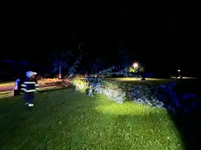 Im Schlosspark Greißenegg stürzten während eines Gewitters zwei Bäume um. | Foto: FF Voitsberg