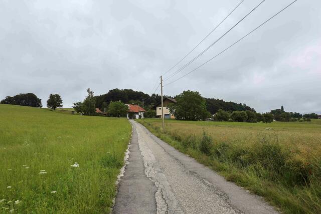 Foto: Pressefoto Scharinger