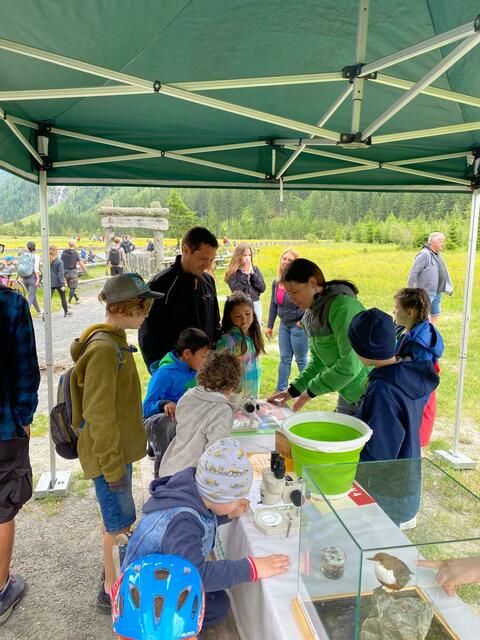 Foto: Büro Landesrätin Sara Schaar