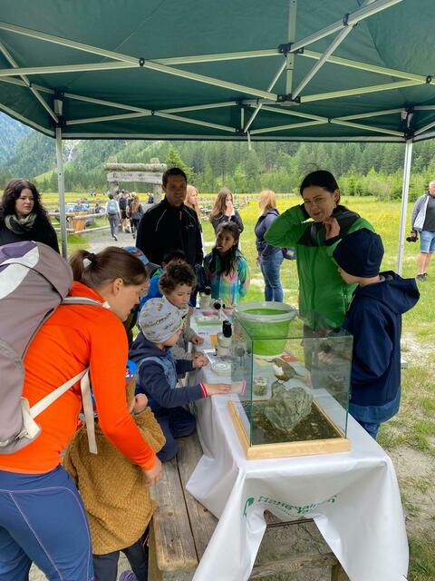 Foto: Büro Landesrätin Sara Schaar