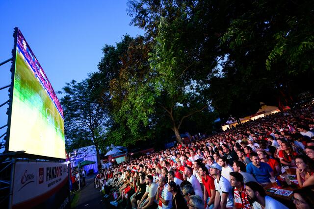 Match Frankreich - Österreich. | Foto: MAX SLOVENCIK / APA / picturedesk.com