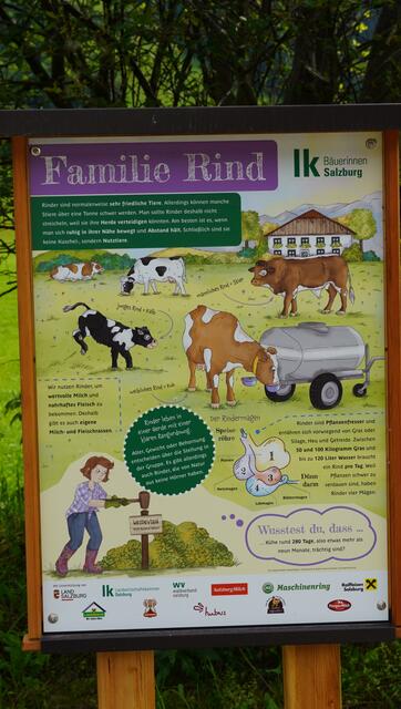 Foto: Johannes Brandner