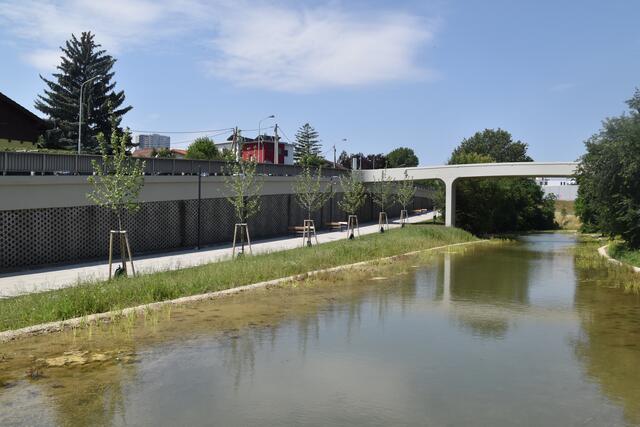 Der 2.400 Quadratmeter große Teich. | Foto: Karl Pufler/rmw