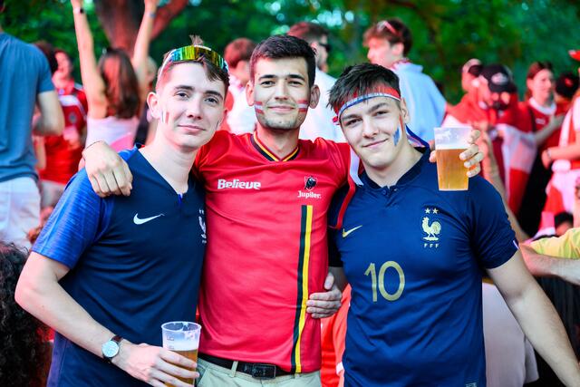 Match Frankreich - Österreich. | Foto: MAX SLOVENCIK / APA / picturedesk.com